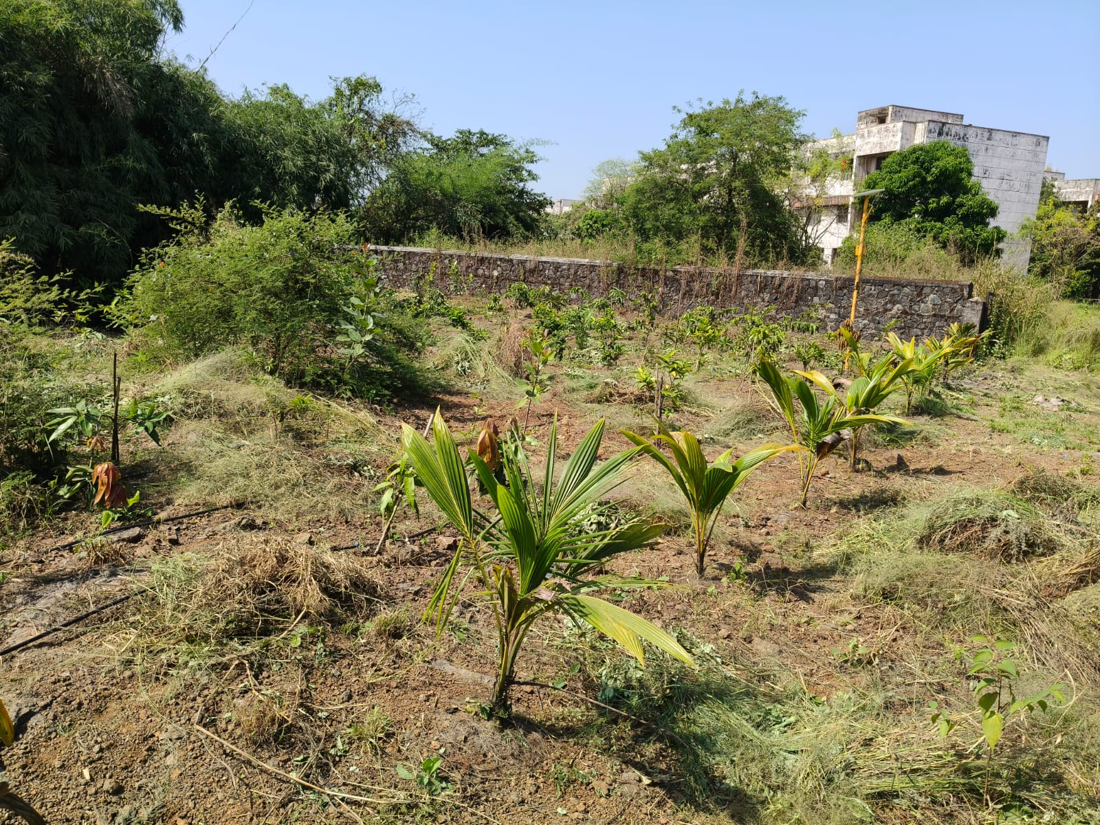 vijayrajrahee Ecosattva